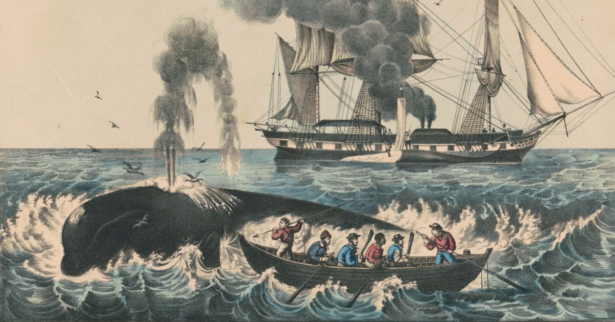 On ‘Moby Dick’: Grappling with the Book of Nature