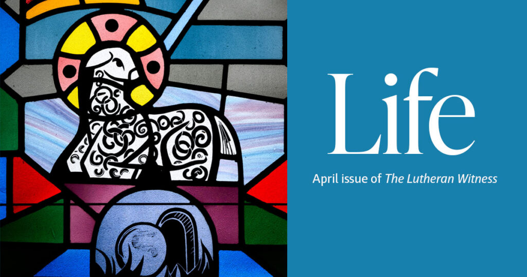 The Lutheran Witness — April 2026 issue — Life — On the Cover: At Trinity Lutheran Church, Bellingham, Minn., a stained glass window features the traditional Agnus Dei symbol, the “Lamb of God” who is the atoning sacrifice for our sins. The Lamb bears a banner representing His victory over death and His eternal reign. Below Him is the tomb that once held Him, now open and empty. He has risen, and, in Him, you too will rise!
