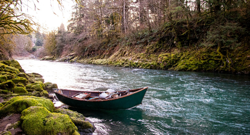 River in Winter - Oregon, USA (Robin Canfield/Unsplash)